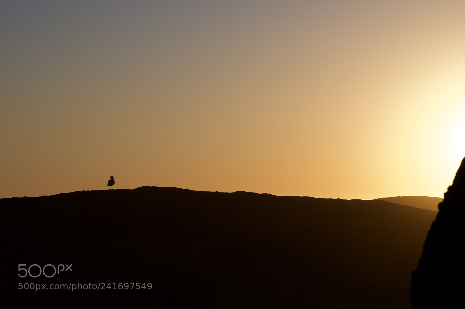Nikon D500 sample photo. Shades of sunset photography