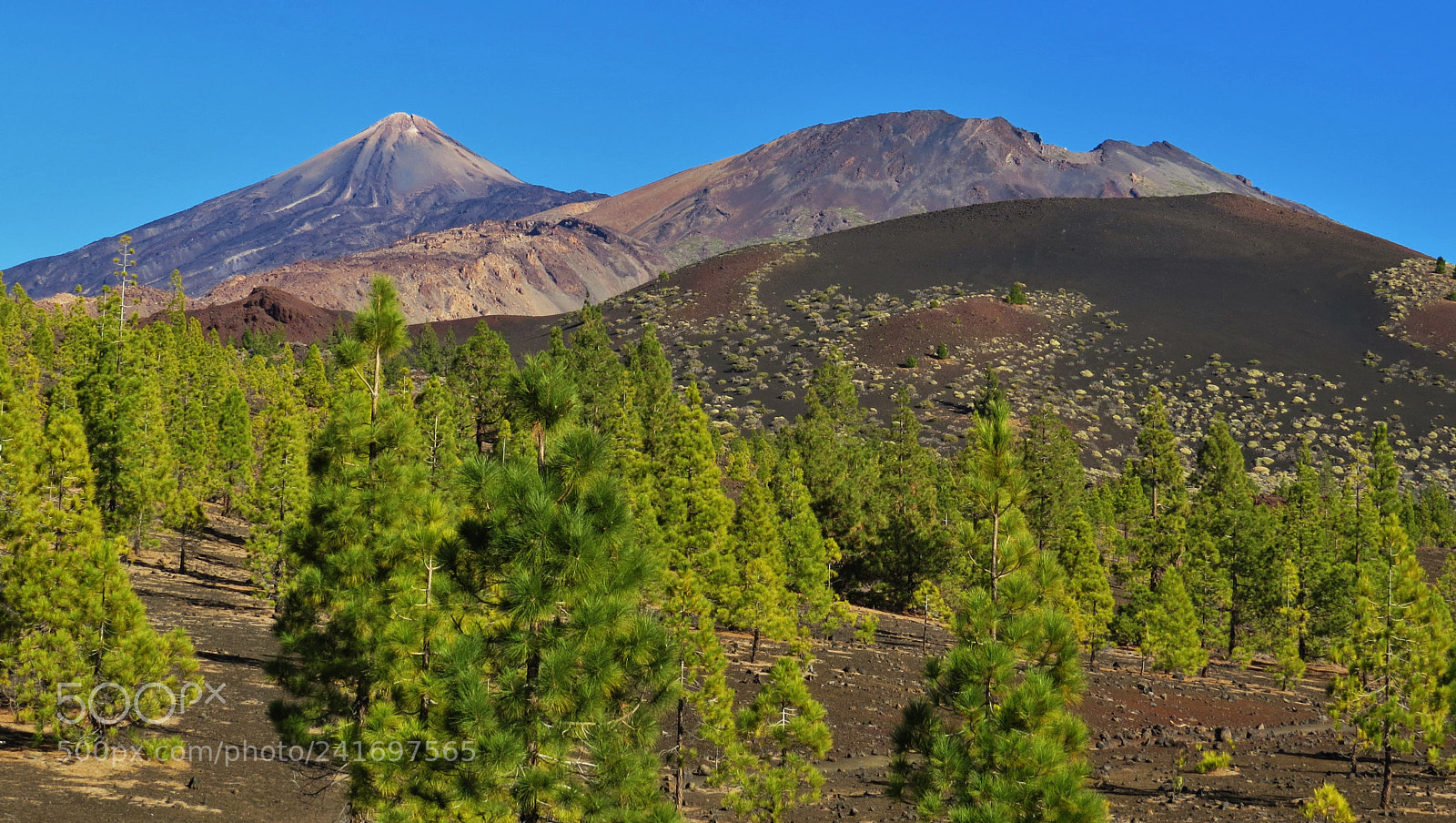 Canon PowerShot SX50 HS sample photo. El teide (tenerife) photography