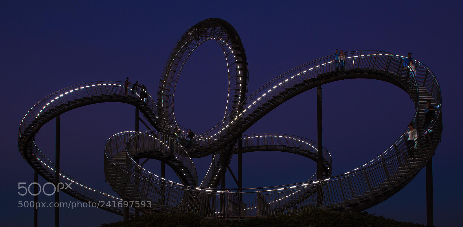 Nikon D7200 sample photo. Tiger & turtle °° photography