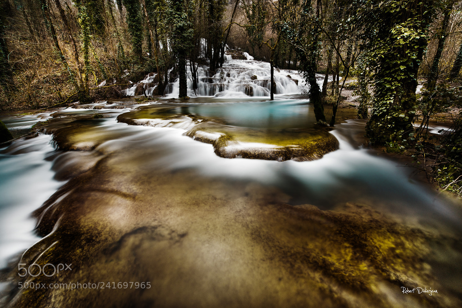 Nikon D810 sample photo. River in undergrowth photography