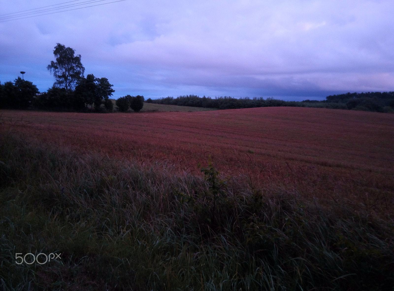 Meizu m2 sample photo. Impressionism photography