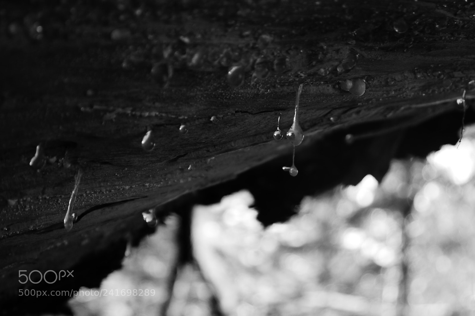 Panasonic Lumix DMC-G2 sample photo. _1060240.jpg photography