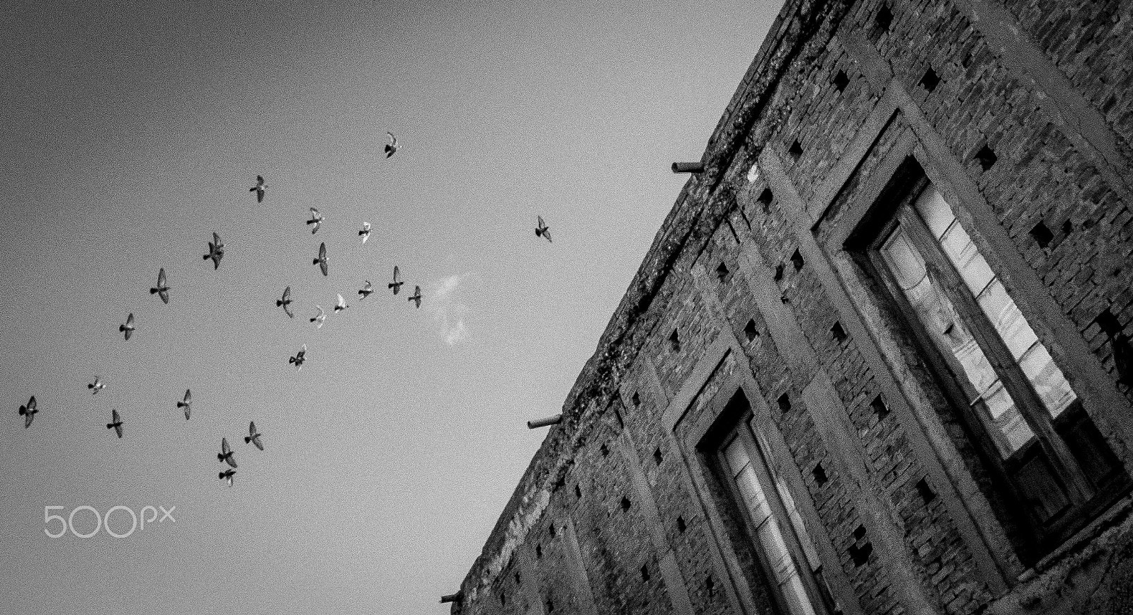 Leica D-Lux 6 sample photo. Fughe photography