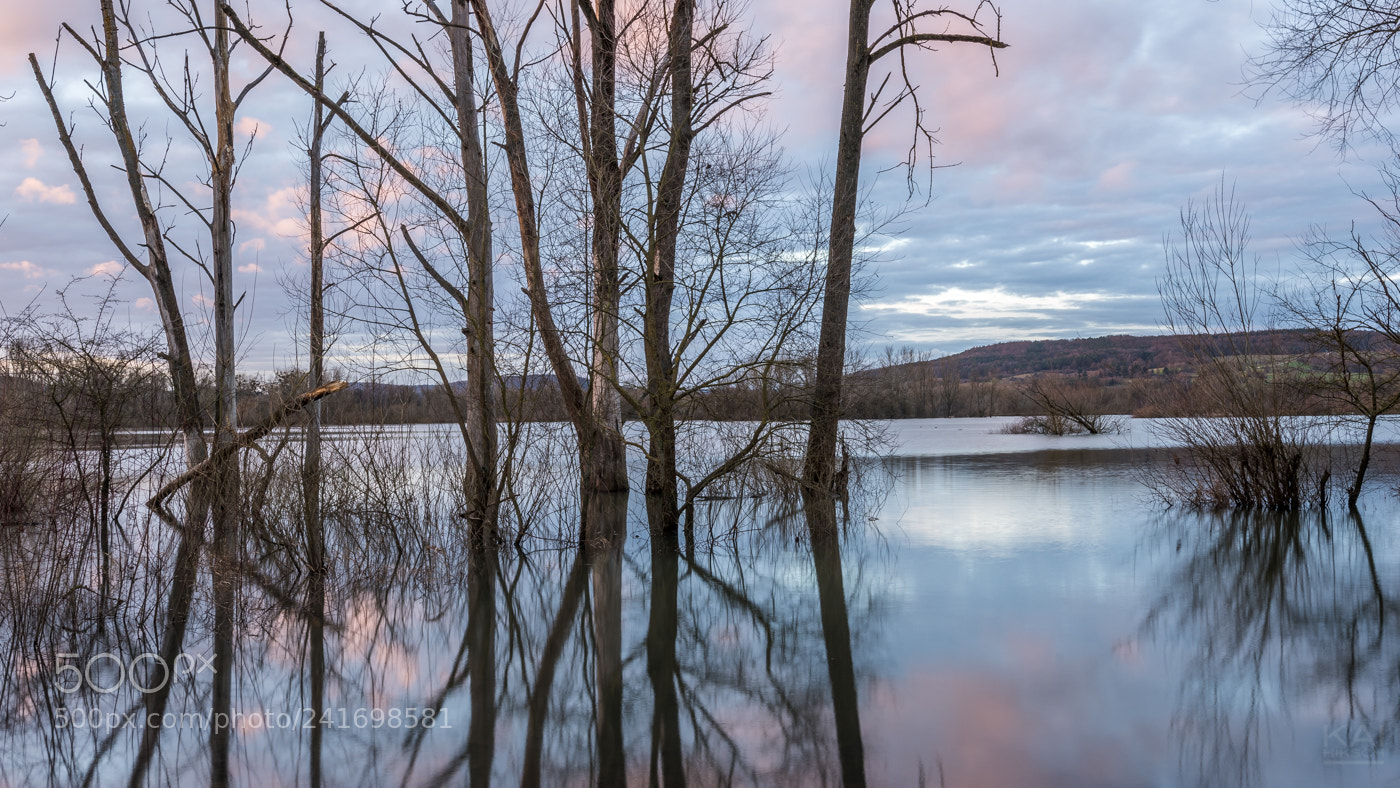 Nikon D500 sample photo. Mirrored photography