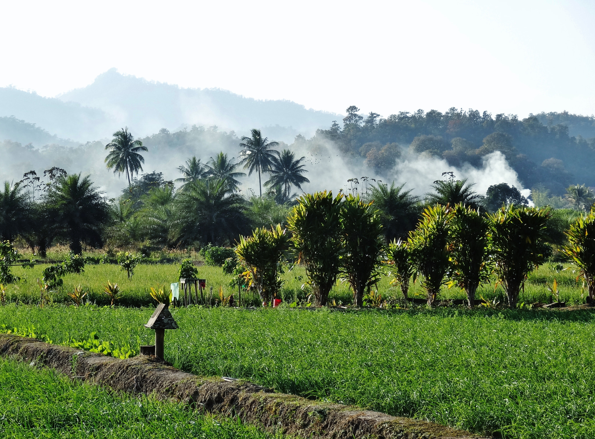 Sony Cyber-shot DSC-HX30V sample photo. Travel in thailand photography