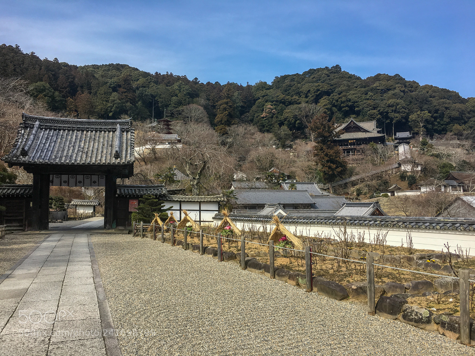 Apple iPhone 6s sample photo. Hasedera temple photography