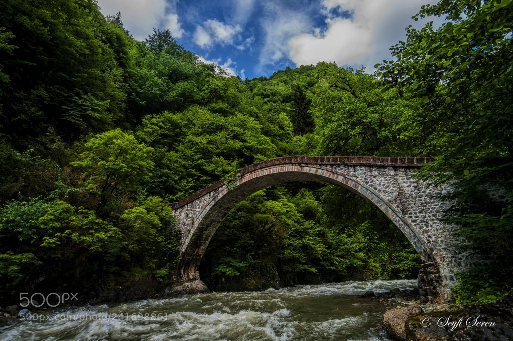 Pentax K-7 sample photo. Rize aml hem in photography