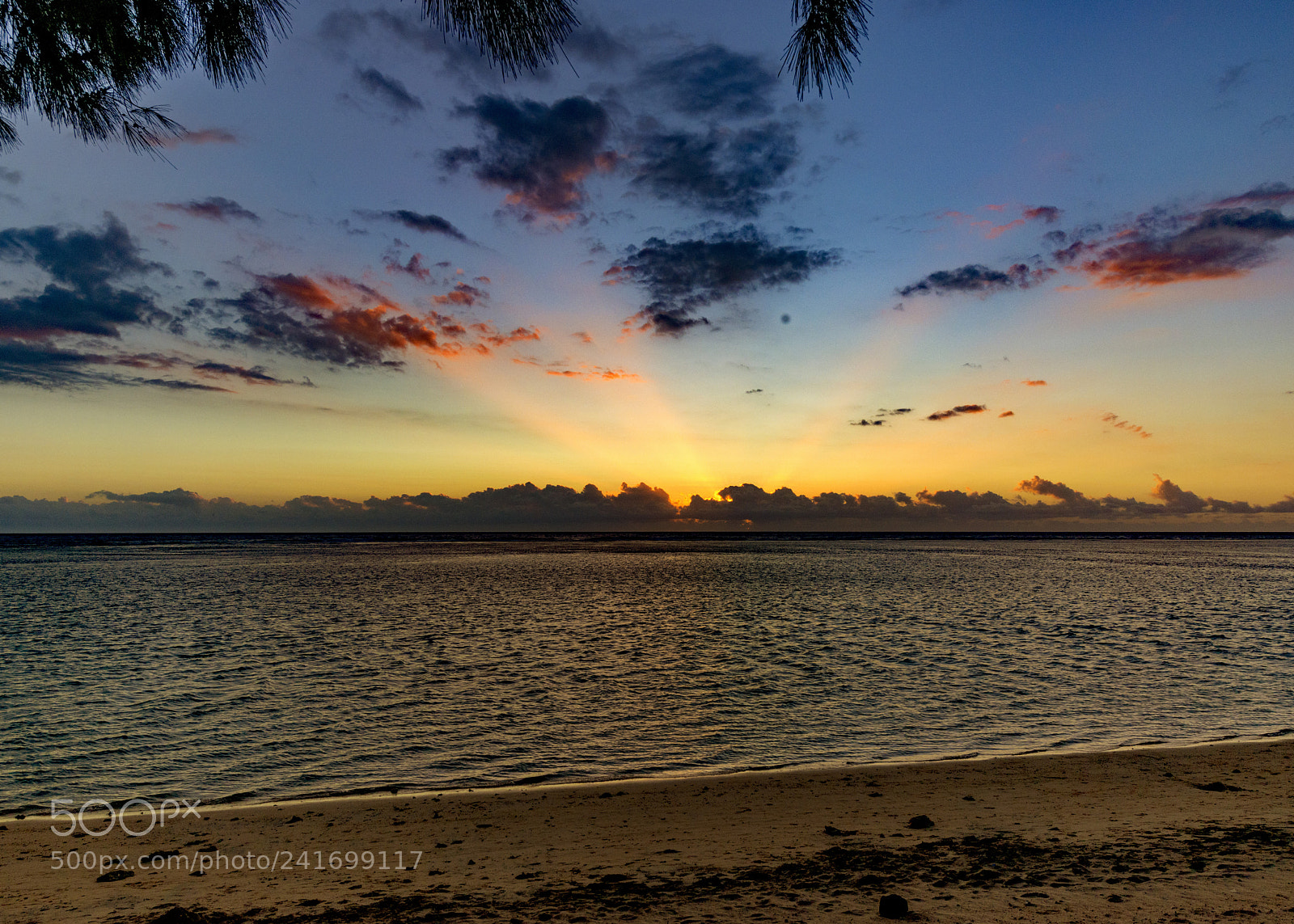 Nikon D800 sample photo. Pink sunset photography