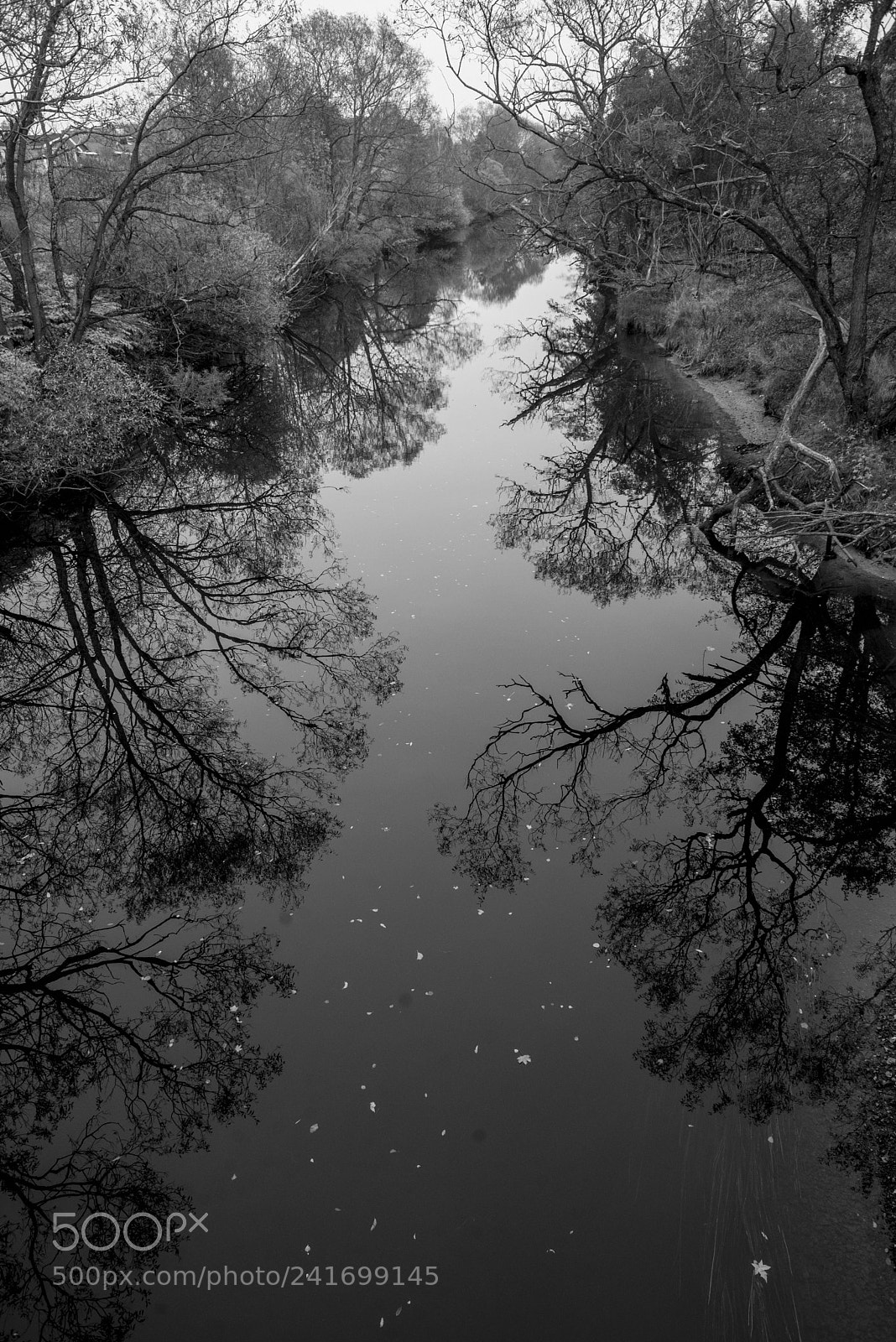 Nikon D600 sample photo. Mirroring photography