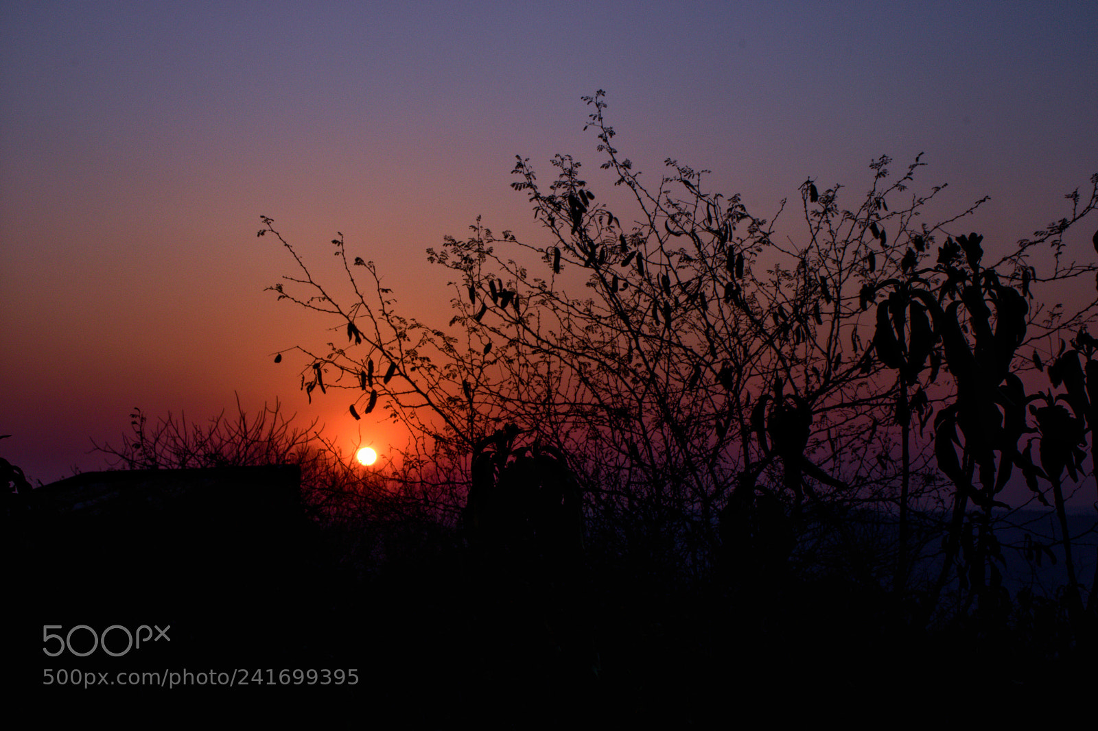 Canon EOS 200D (EOS Rebel SL2 / EOS Kiss X9) sample photo. Sunset love photography