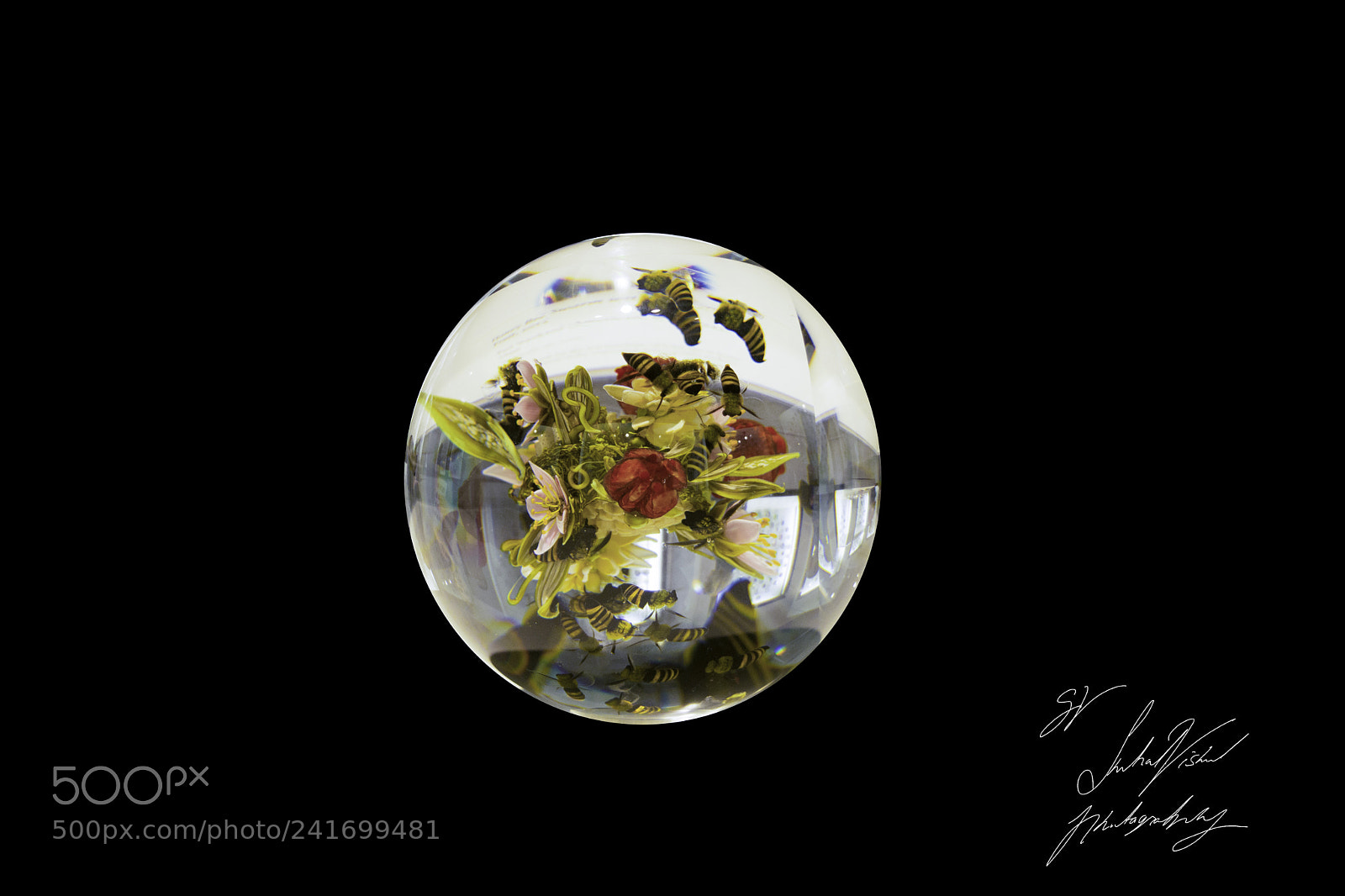 Nikon D7200 sample photo. Arthur rubloff collection of photography