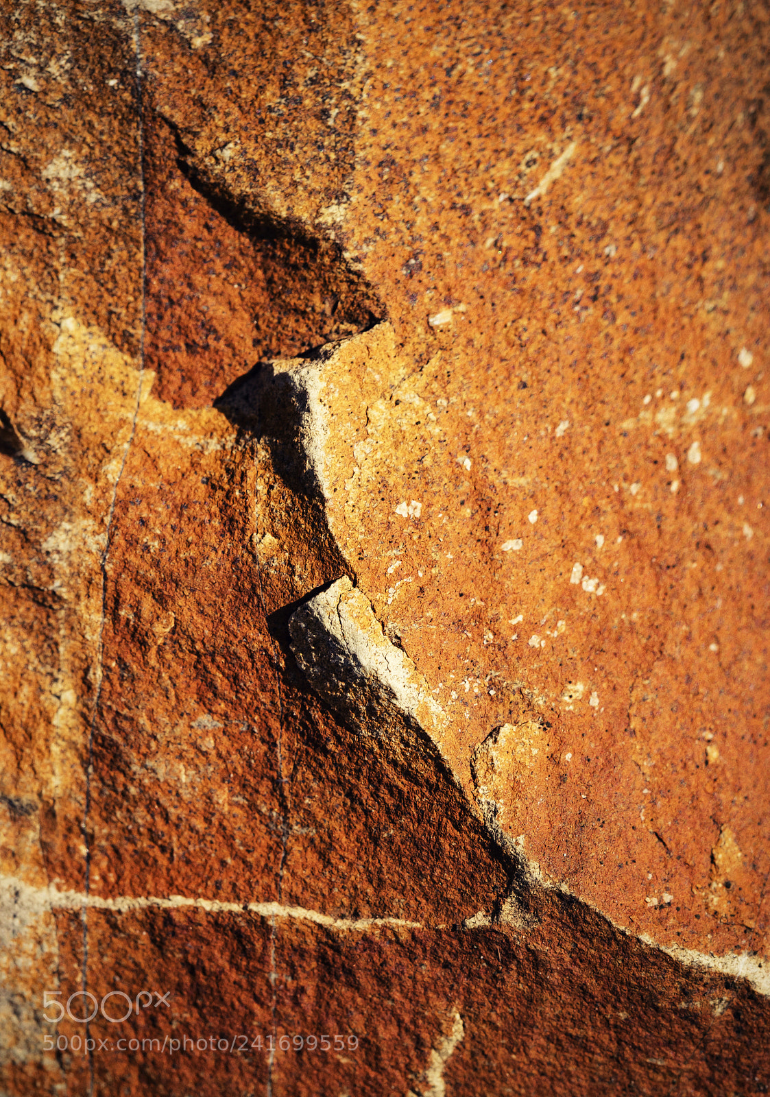 Nikon D5500 sample photo. Detail edge to the photography