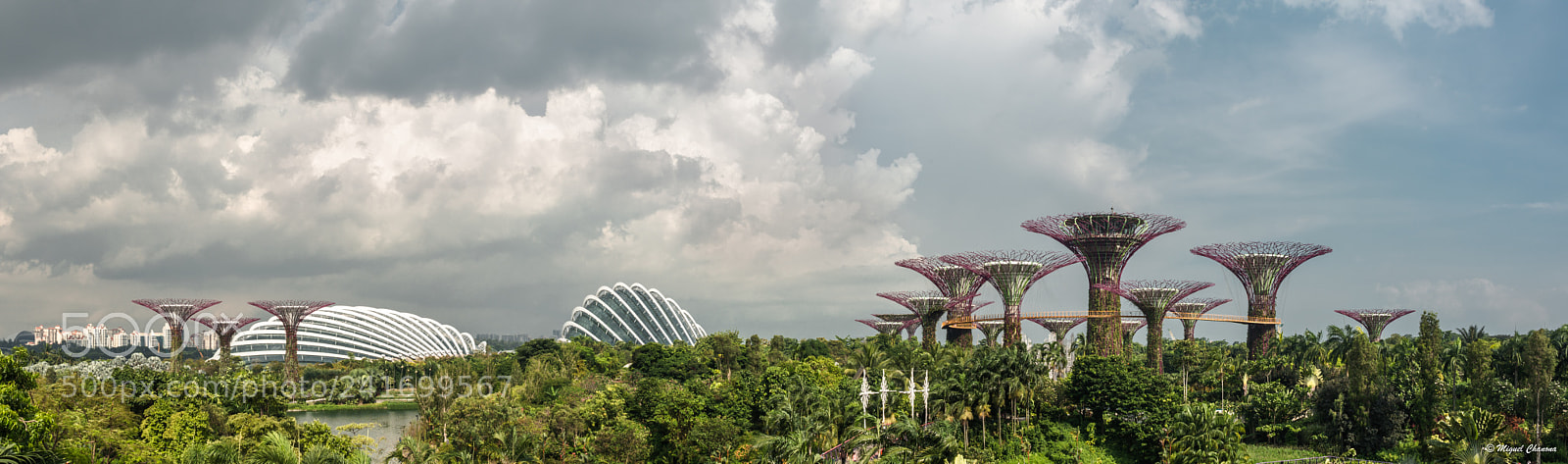 Nikon D800 sample photo. Gardens by the bay photography