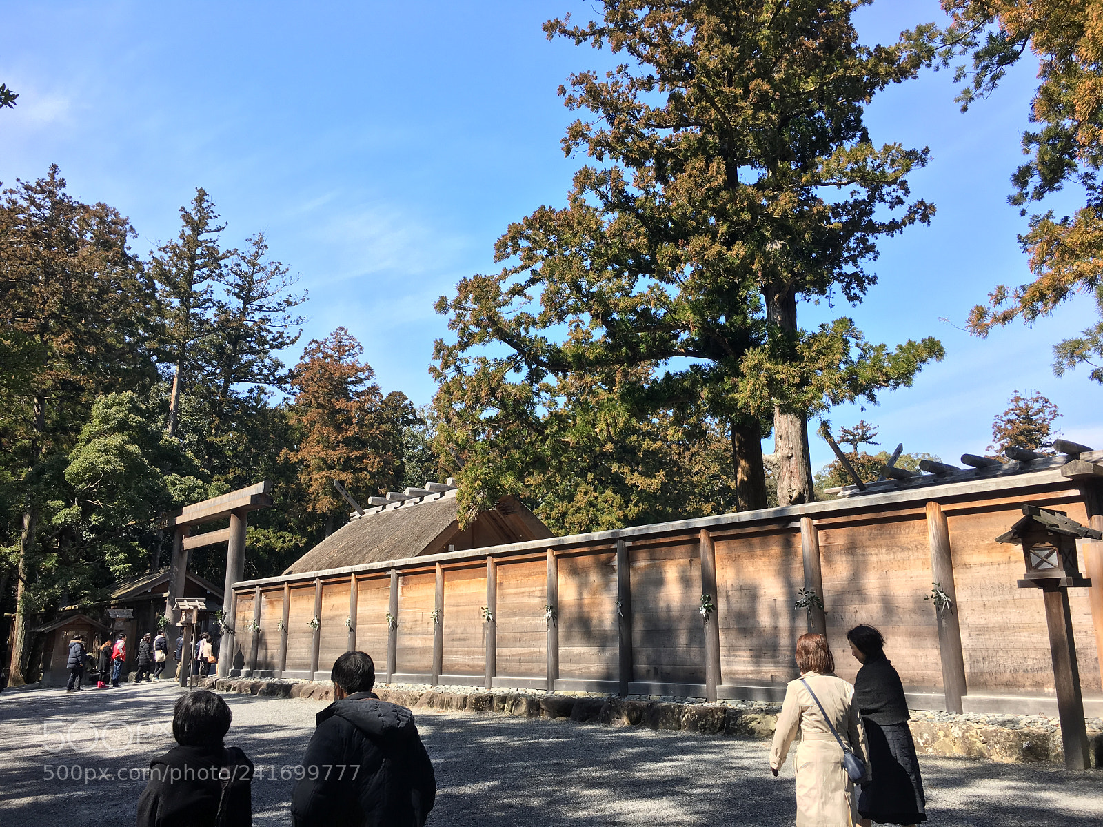 Apple iPhone 6s sample photo. Ise jingu geku photography