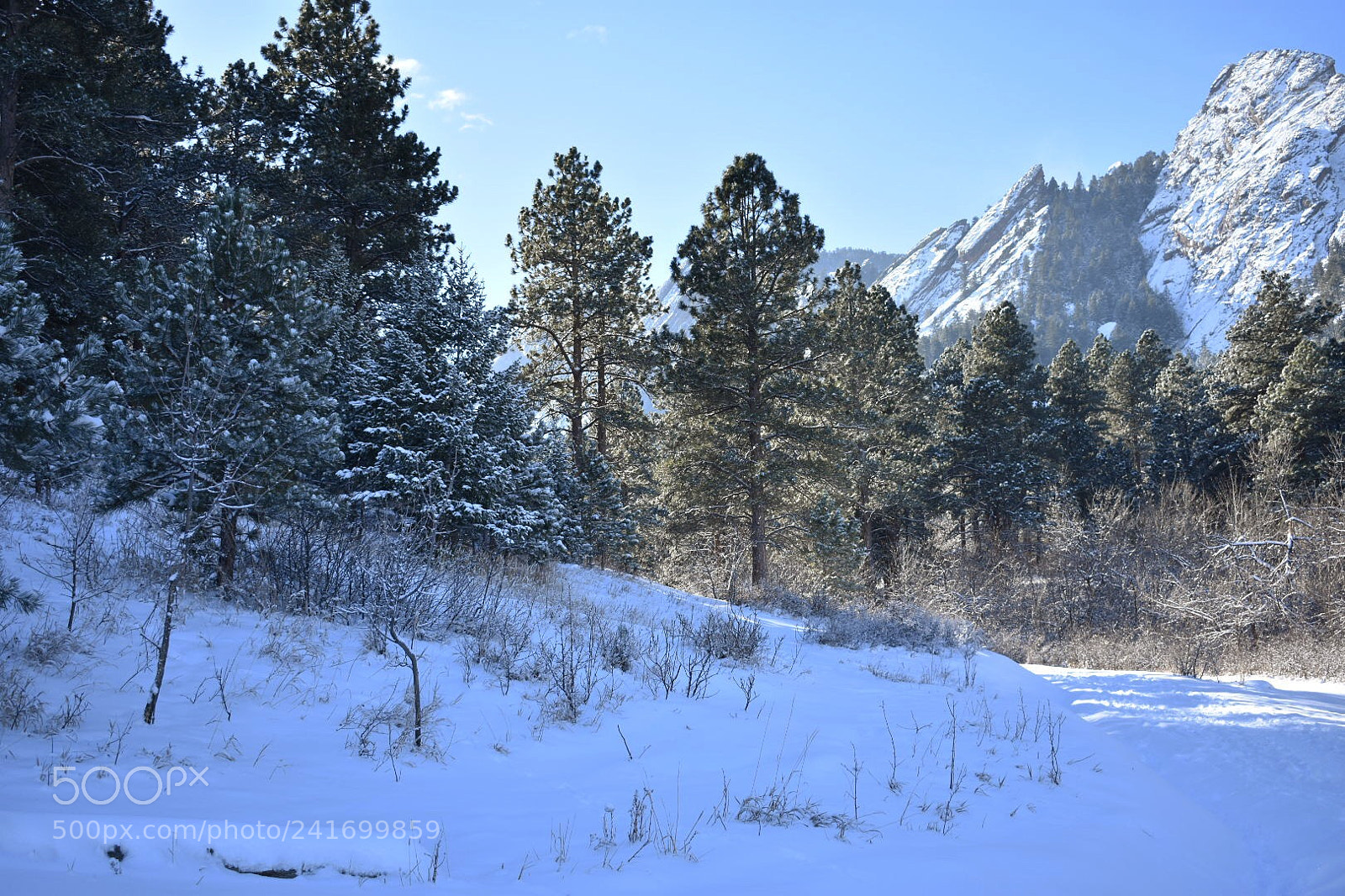 Nikon D3400 sample photo. Snow trail, hike trail photography