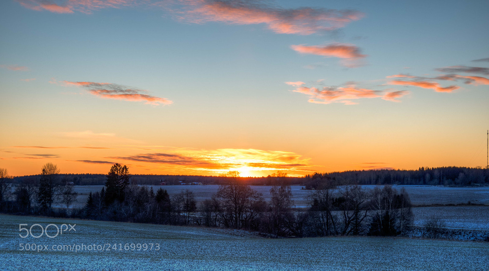 Nikon D500 sample photo. Sunset photography