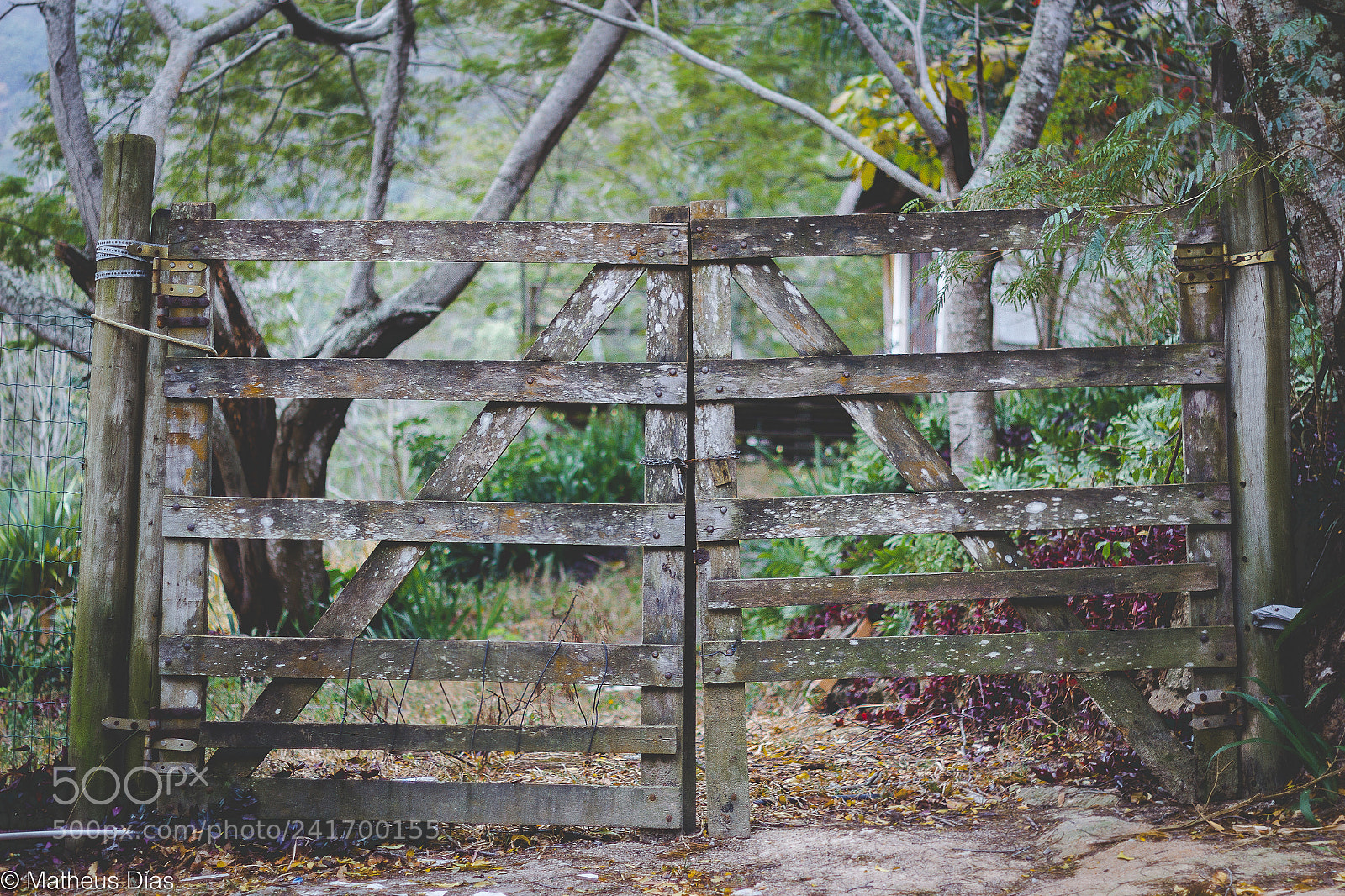 Canon EOS 60D sample photo. Open the gates photography