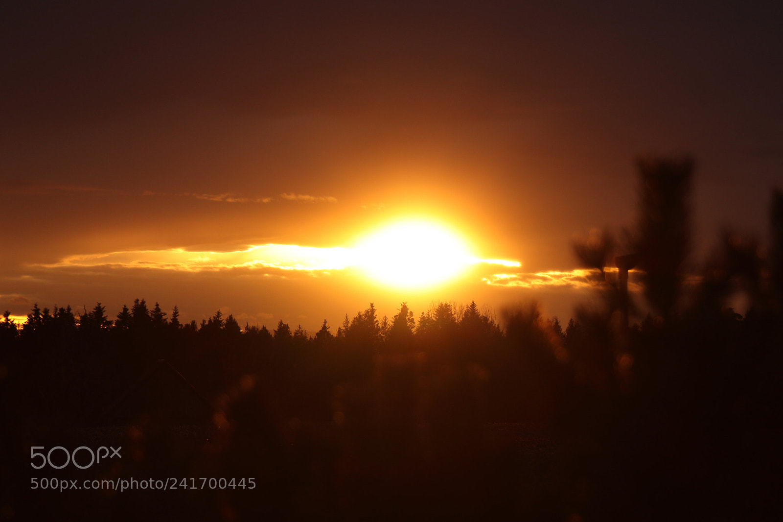 Canon EOS 77D (EOS 9000D / EOS 770D) sample photo. Sunset photography