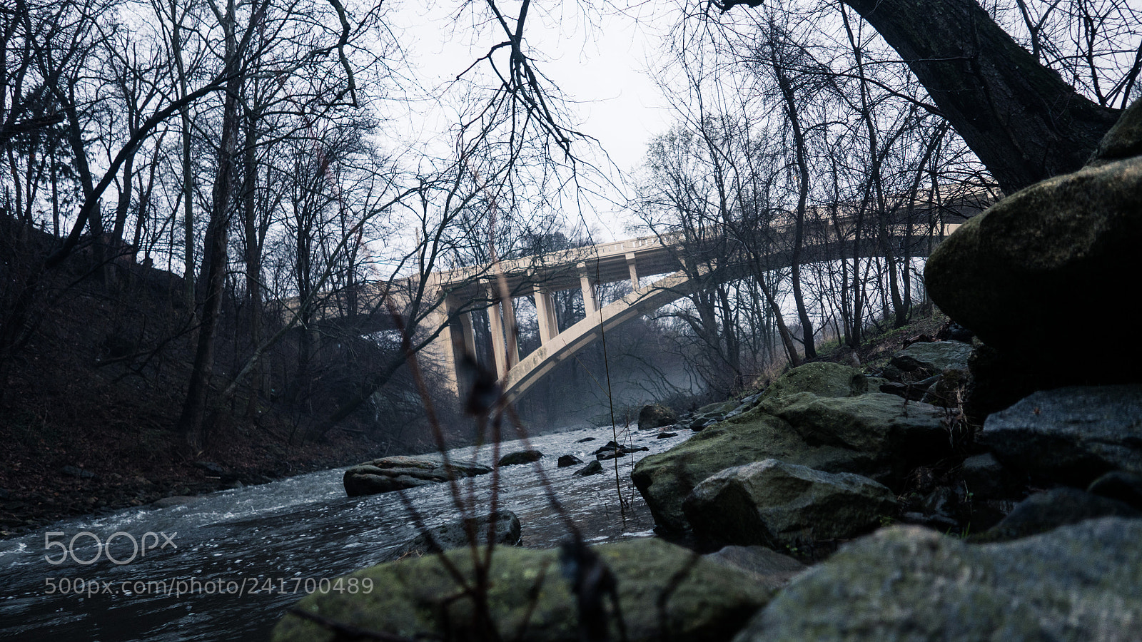 Panasonic Lumix DMC-LX100 sample photo. Fog rolls in photography