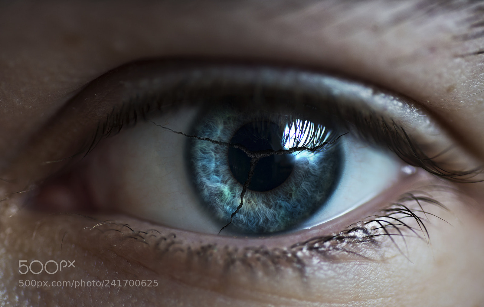 Nikon D800 sample photo. Blindsighted photography