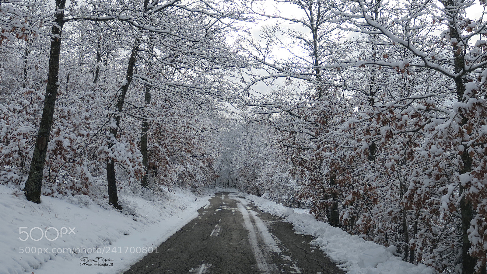 Canon PowerShot G3 X sample photo. Umbria photography