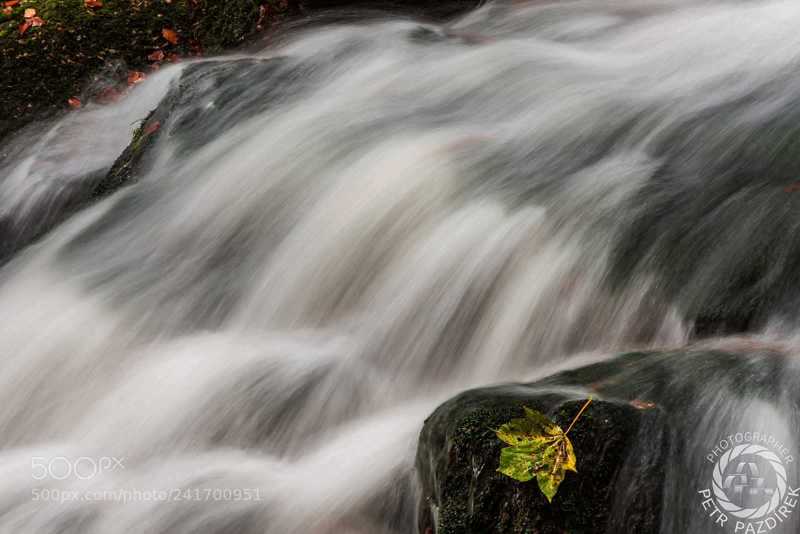 Nikon D800 sample photo. Details of little stolpich photography
