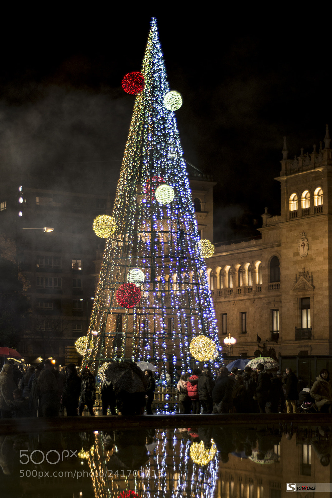 Nikon D7200 sample photo. Christmas tree photography