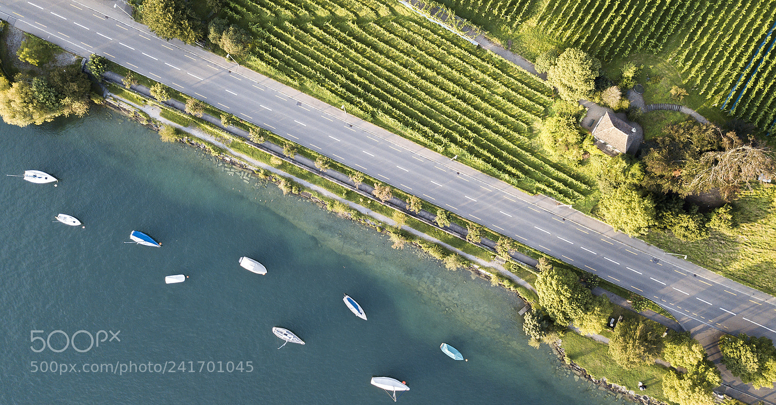 DJI FC220 sample photo. Herrliberg photography