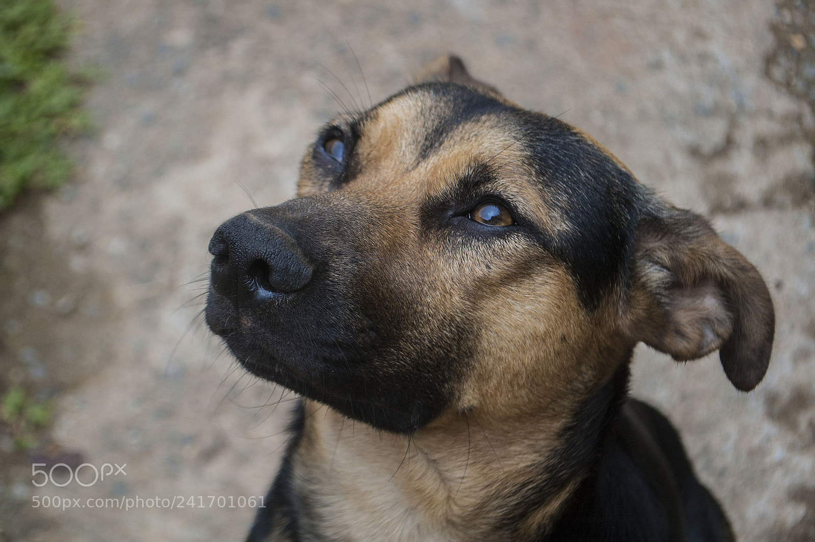 Nikon D70s sample photo. As smart object photography