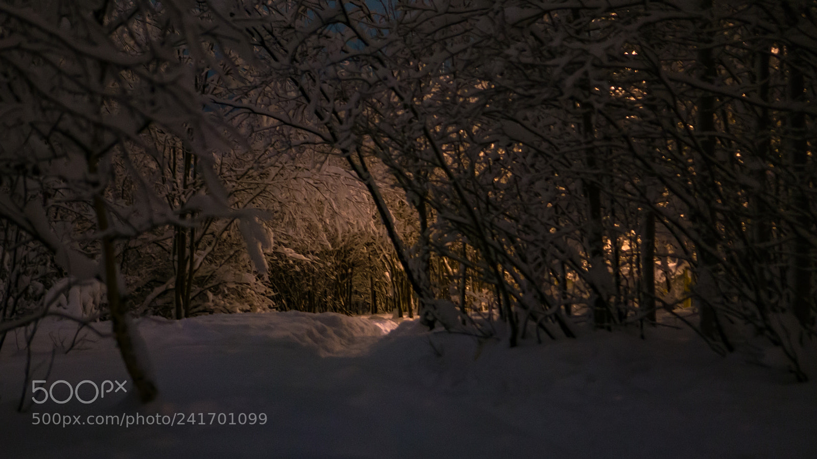 Sony Alpha NEX-6 sample photo. Polar night. photography
