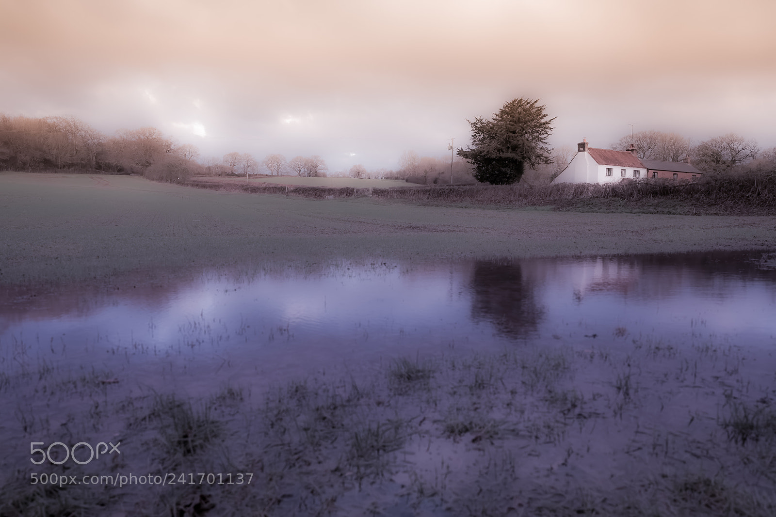 Fujifilm X-Pro2 sample photo. Dreamy farm photography