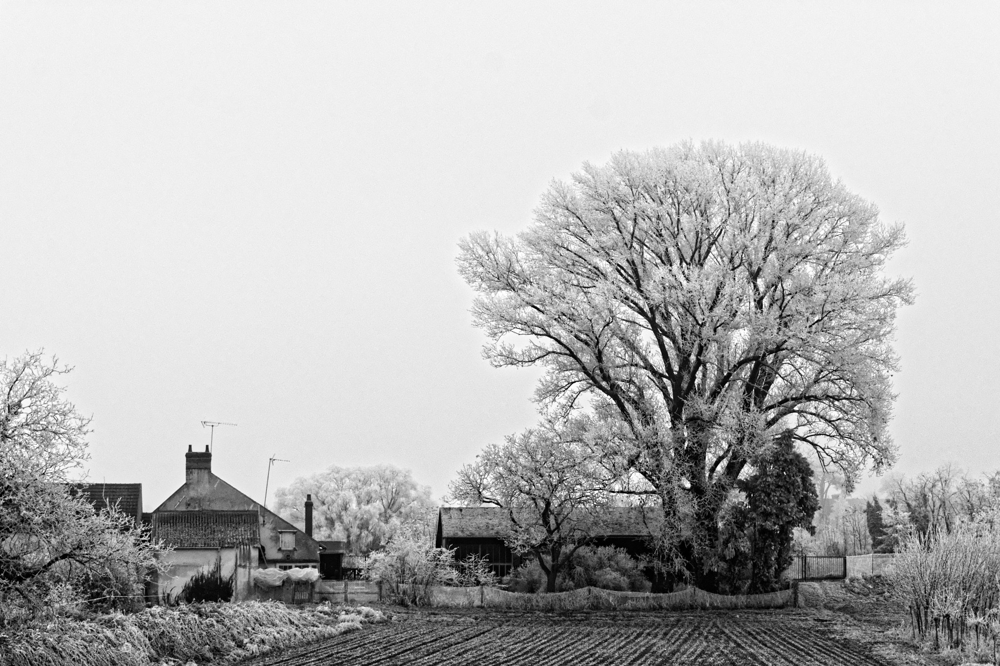 Nikon D7100 sample photo. Orléans et le givre photography