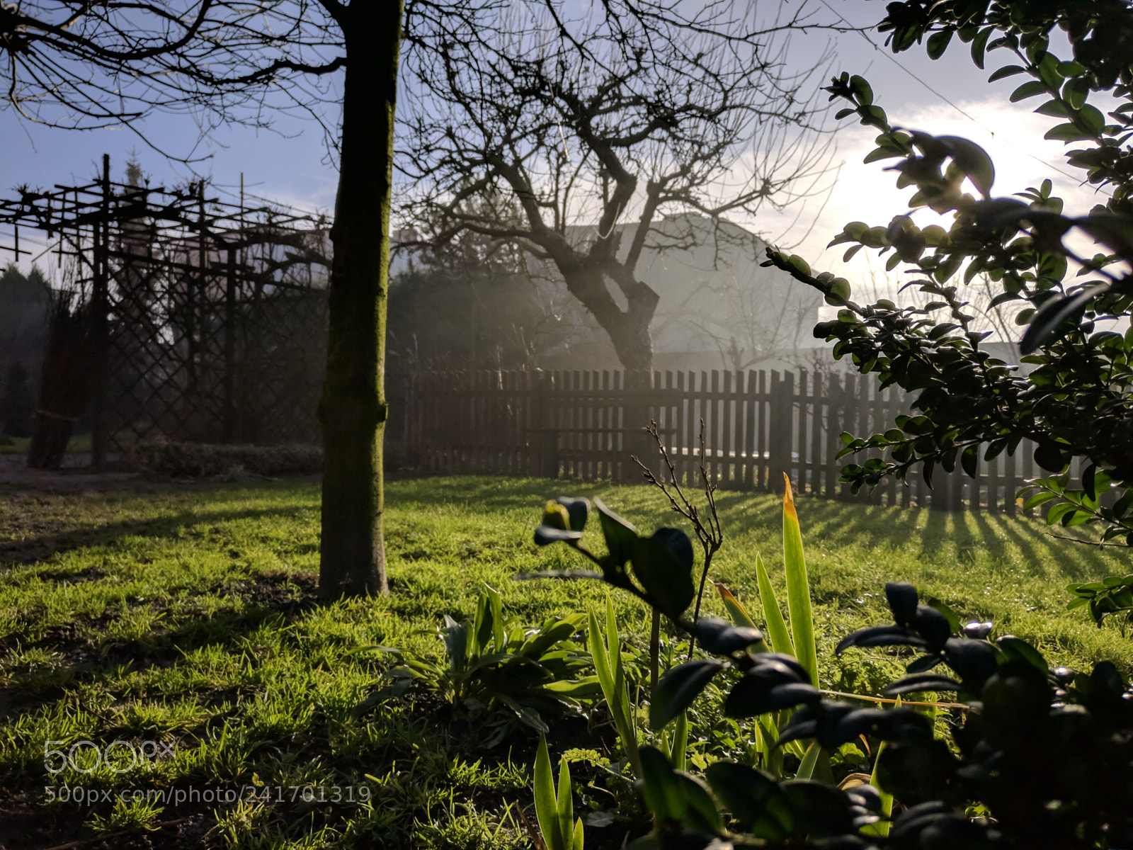 OnePlus A3003 sample photo. Morning photography