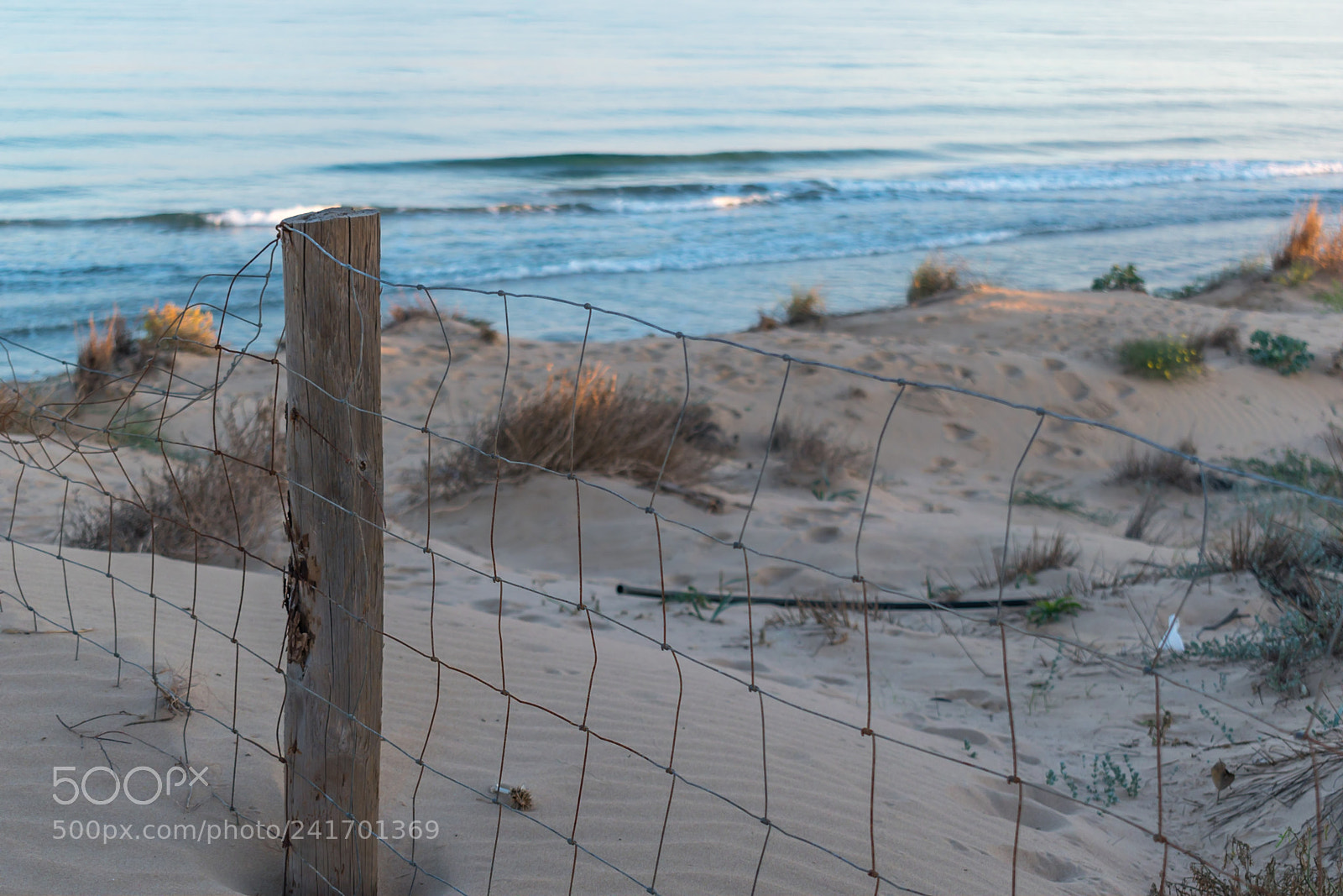 Nikon D5600 sample photo. Landscape of fence in photography