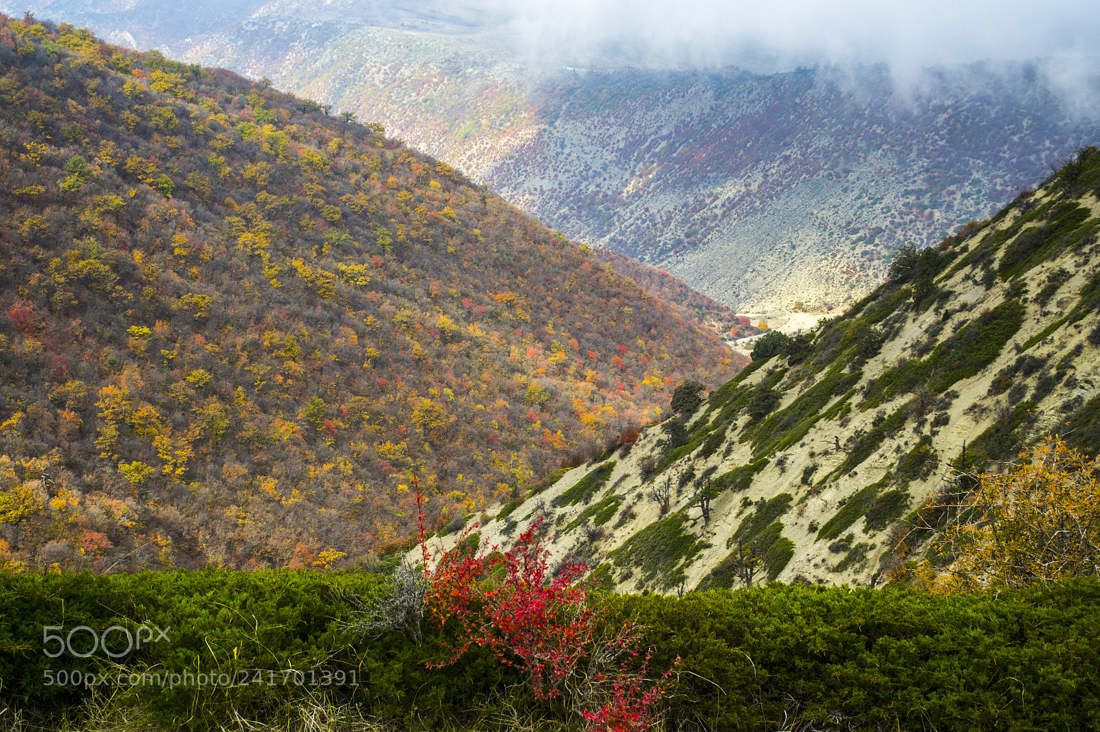 Nikon D3100 sample photo. Fall layers photography