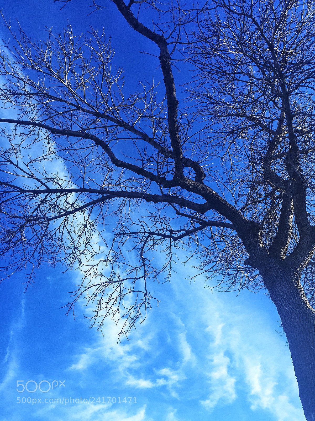 Apple iPhone 6 Plus sample photo. Blue sky. photography
