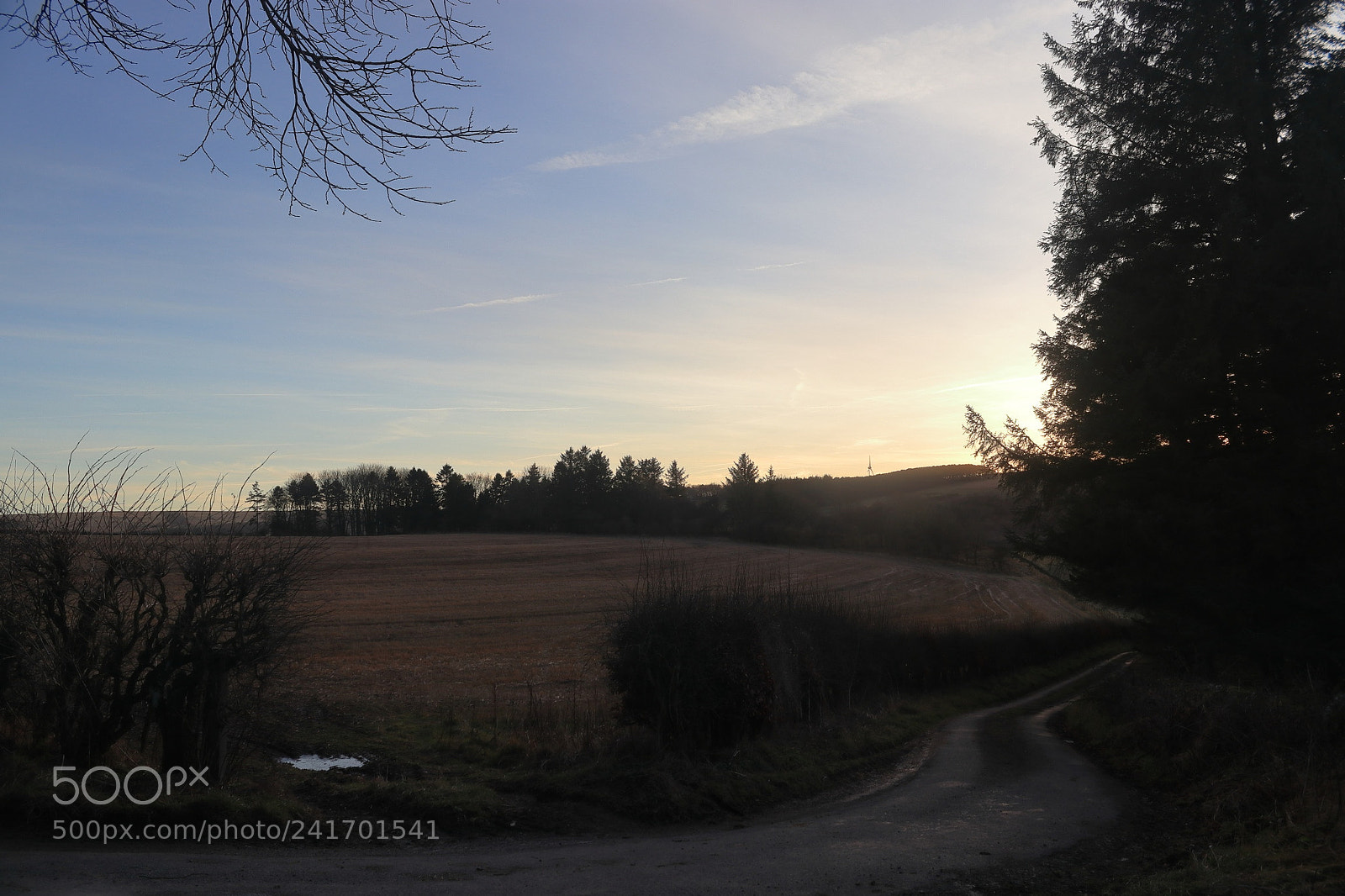 Canon EOS 800D (EOS Rebel T7i / EOS Kiss X9i) sample photo. Winter sunset photography