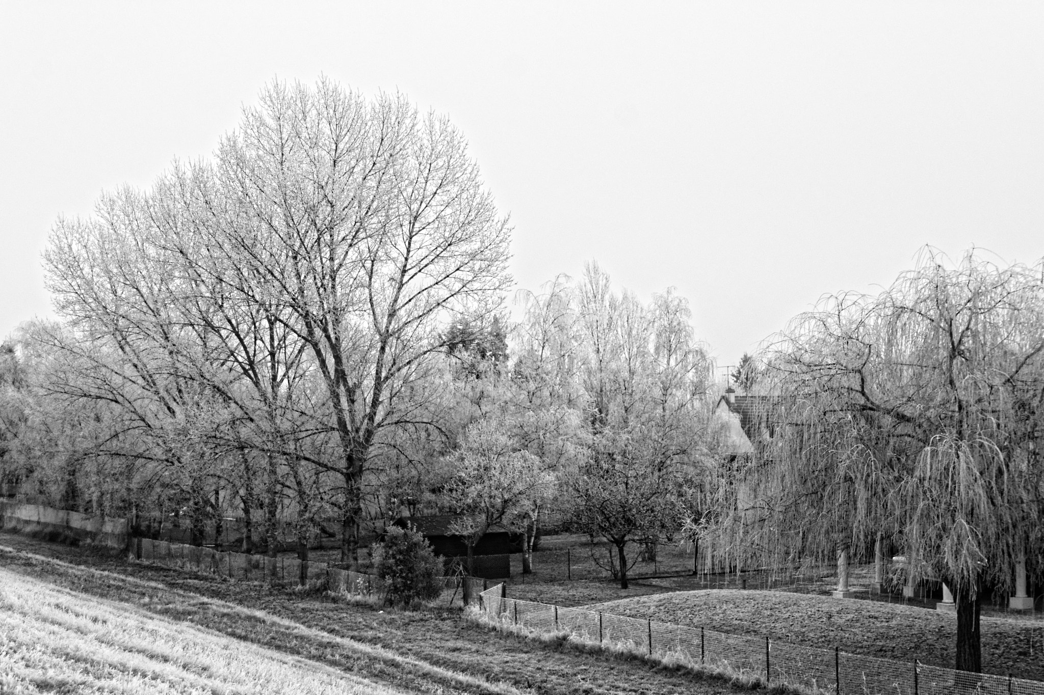 Nikon D7100 sample photo. Givré photography