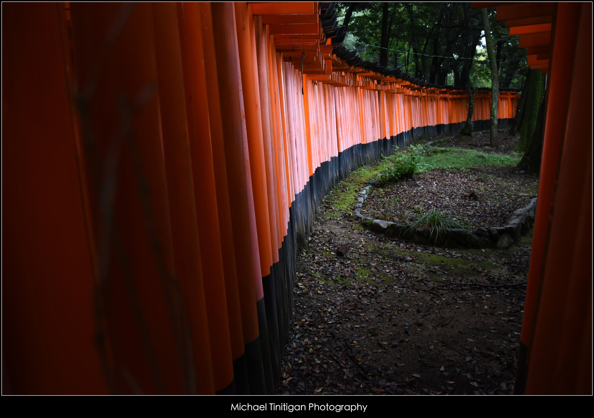 Nikon AF-S Nikkor 24-120mm F4G ED VR sample photo. Kyoto, japan photography