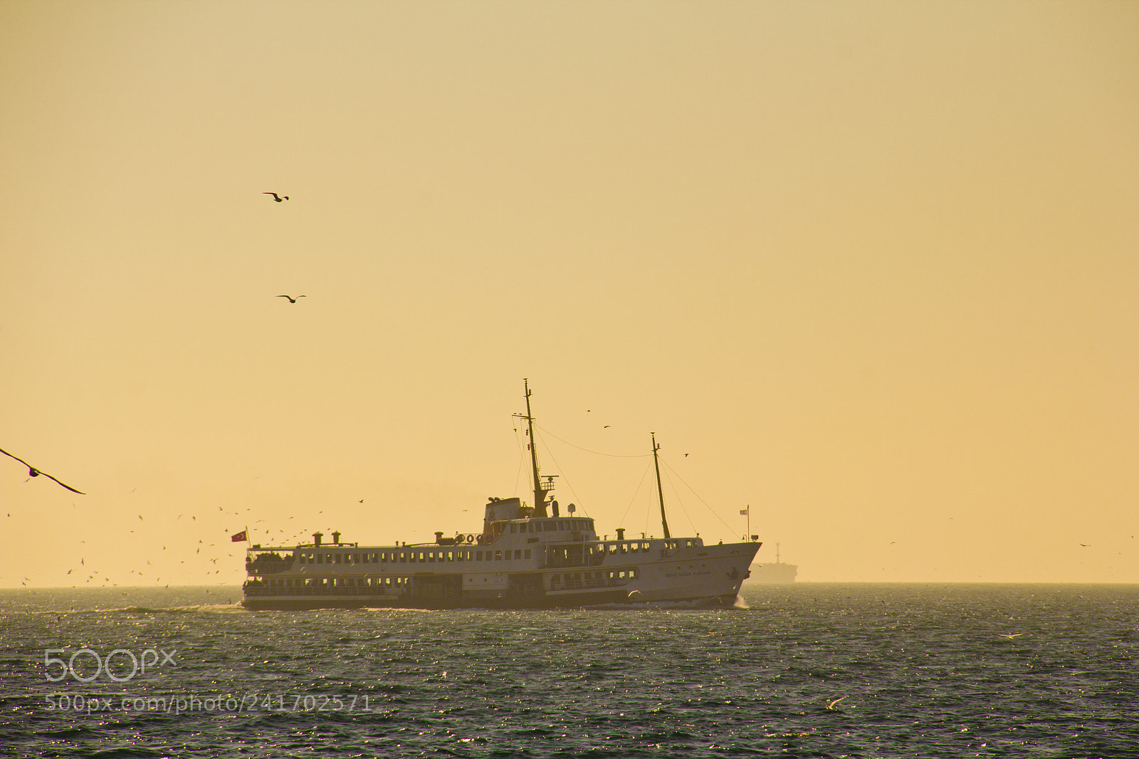 Canon EOS 60D sample photo. Ferry photography