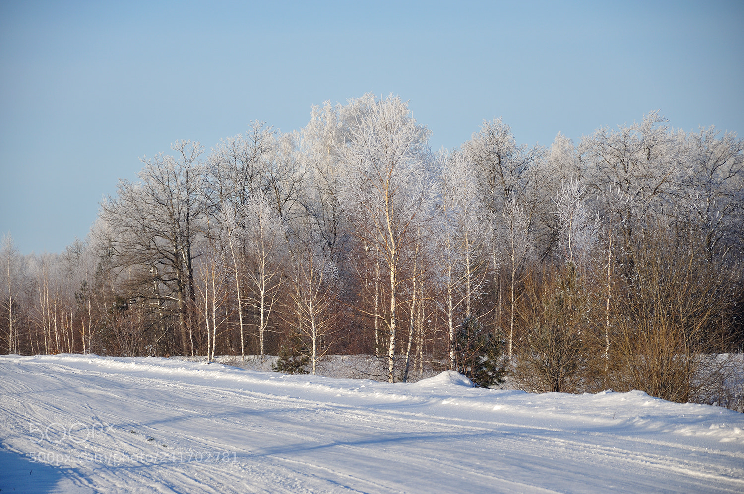 Nikon D90 sample photo. Светлой лентой зимняя дорога... photography