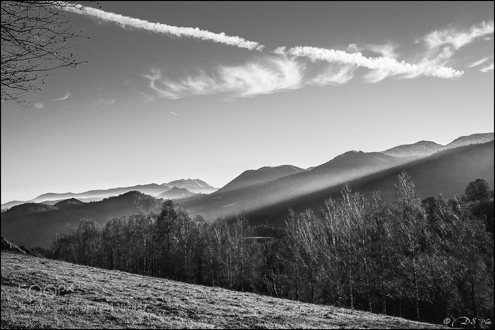 Olympus OM-D E-M5 II sample photo. Paysage en z photography