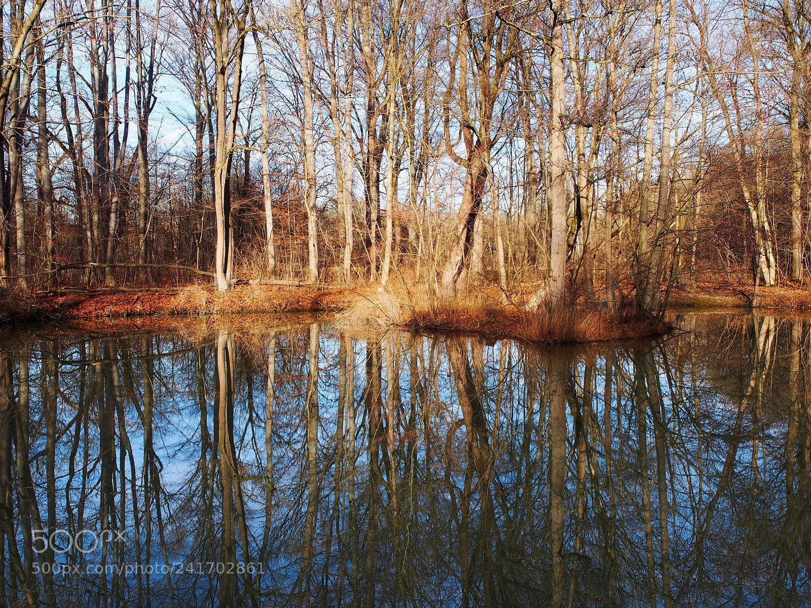 Olympus PEN E-PL5 sample photo. Many trees photography