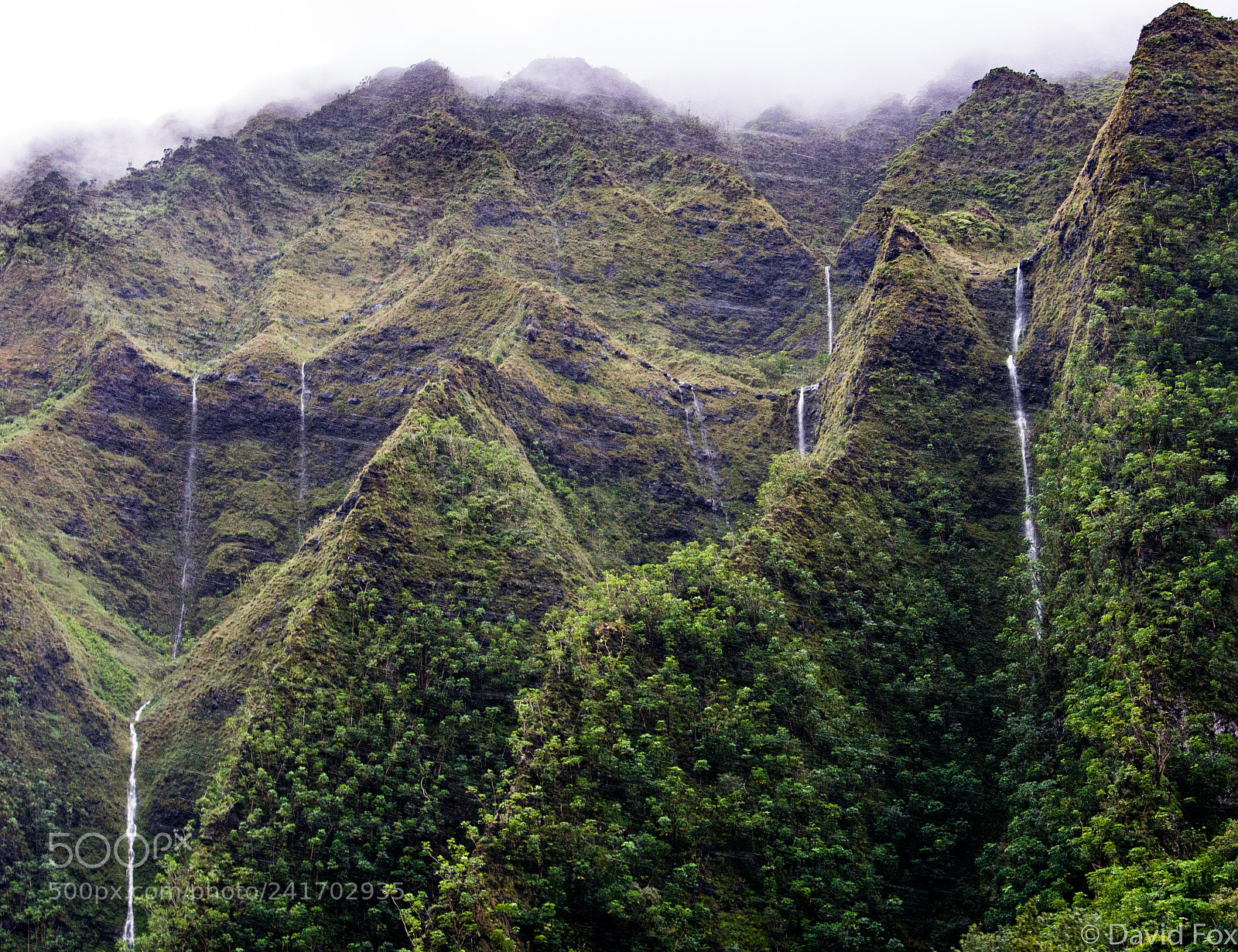 Nikon D7100 sample photo. Oahu waterfalls # photography