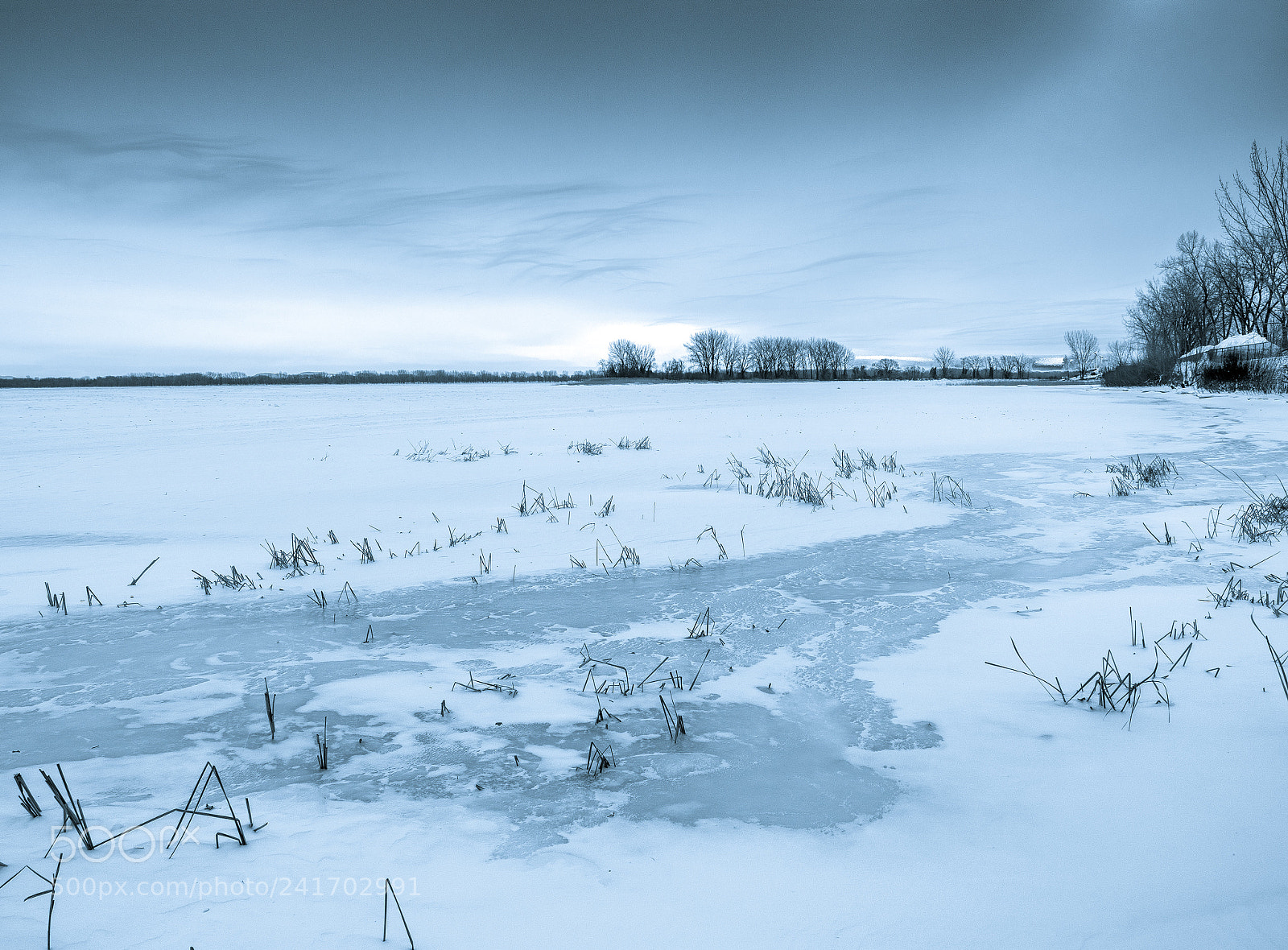 Olympus OM-D E-M5 II sample photo. Cold day on the photography