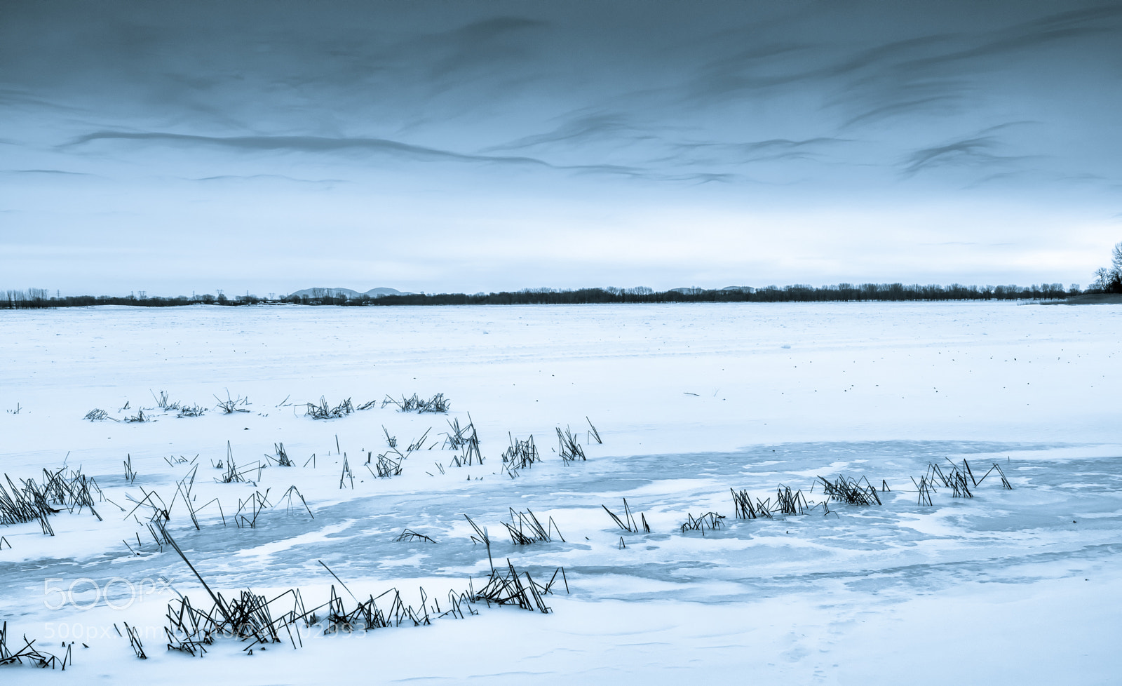Olympus OM-D E-M5 II sample photo. Cold day on the photography