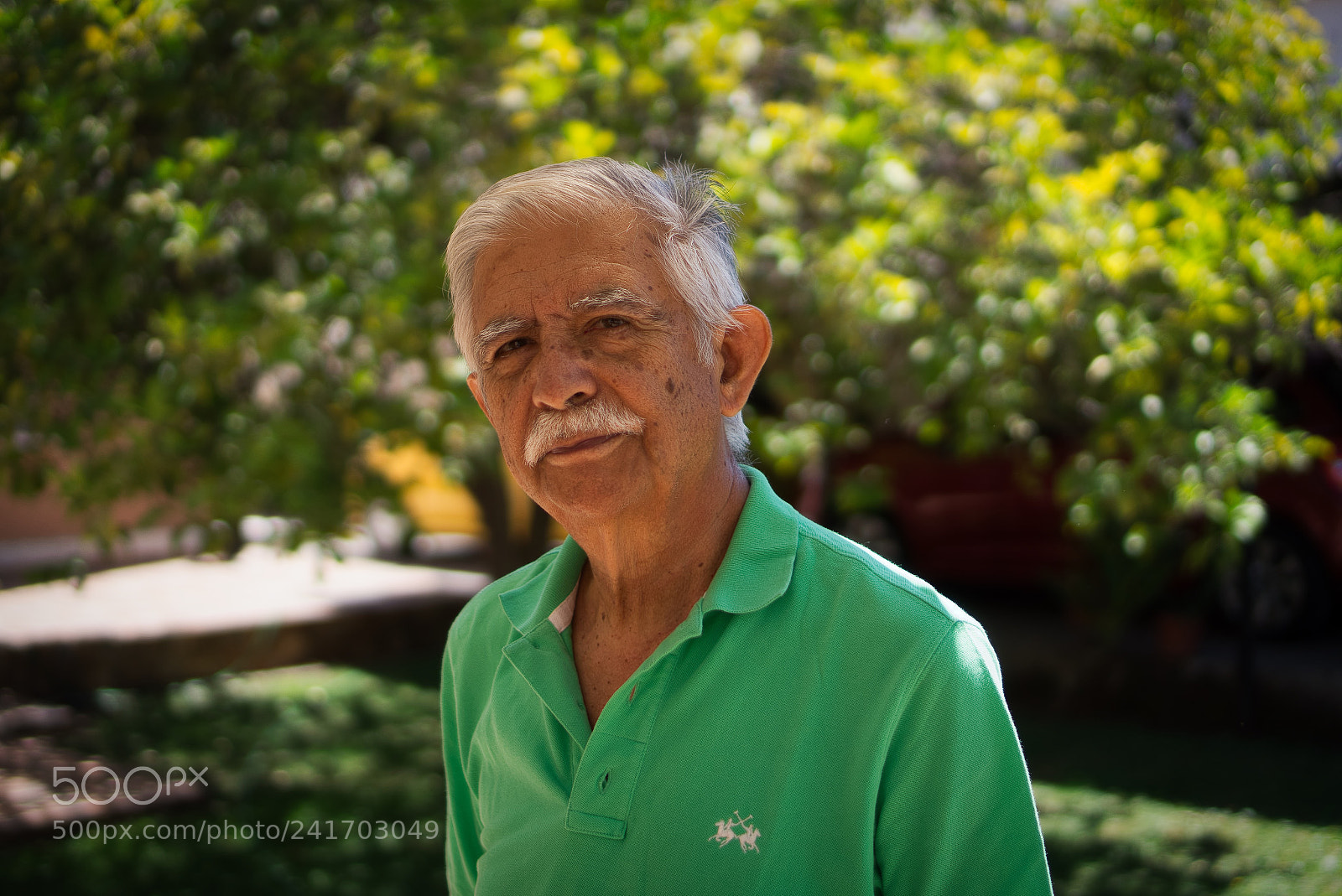 Sony Alpha a5000 (ILCE 5000) sample photo. Luisito photography