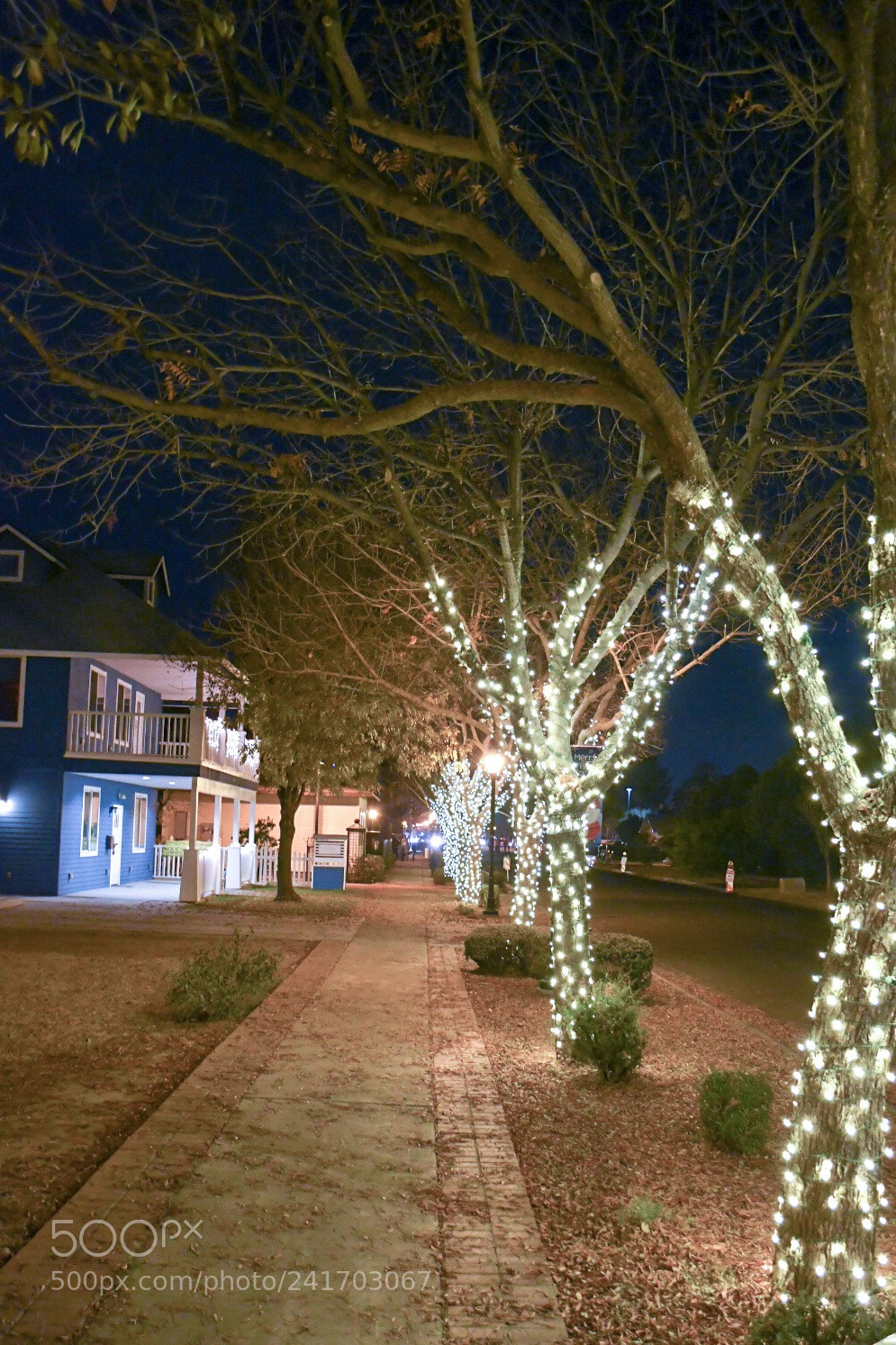 Nikon D7500 sample photo. Christmas photography