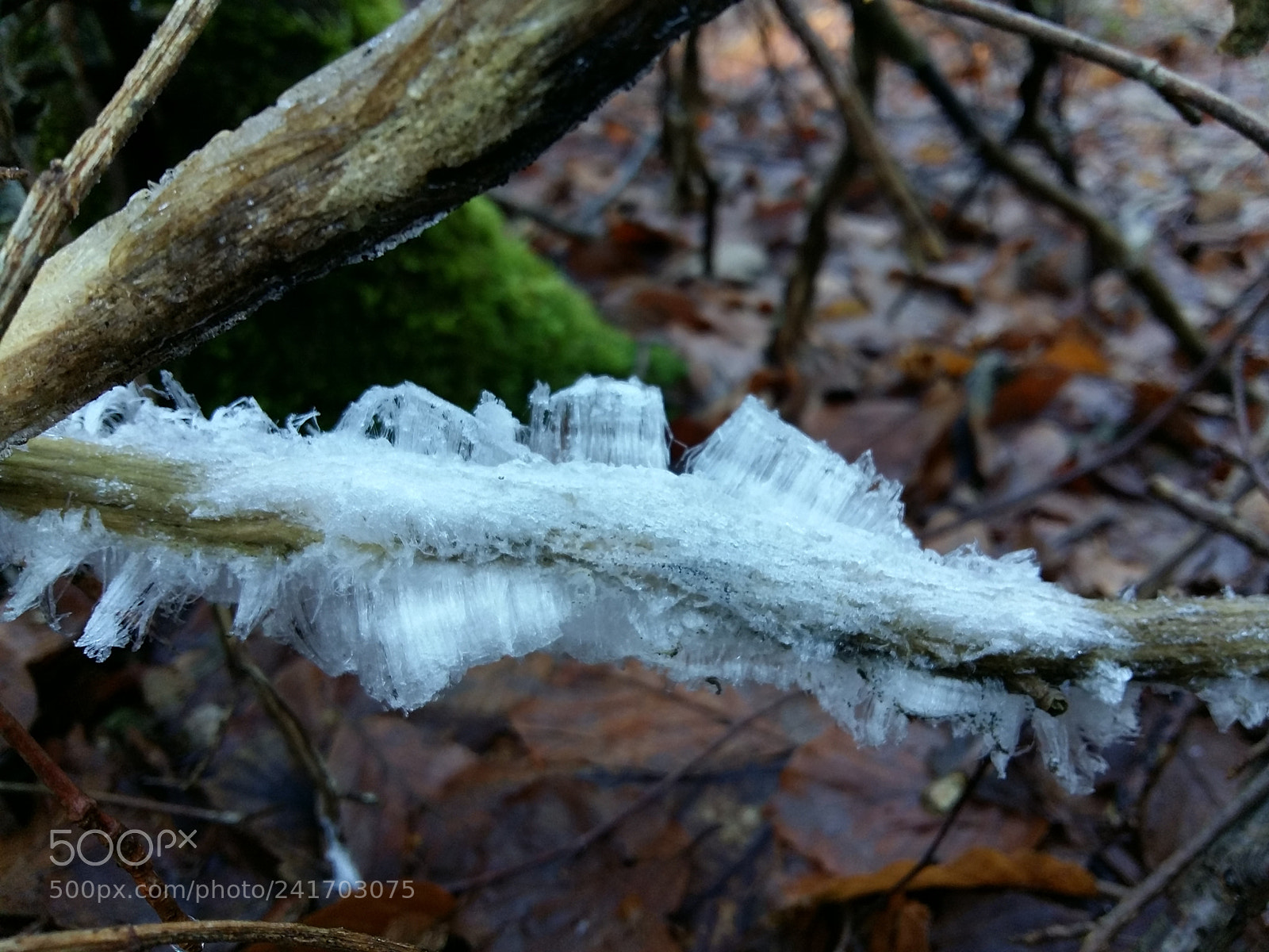 Samsung Galaxy A5 sample photo. Hair ice 04 photography