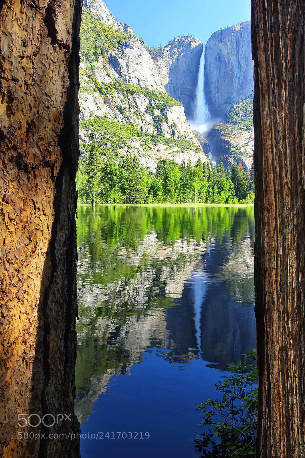 Canon EOS 60D sample photo. Yosemite window photography